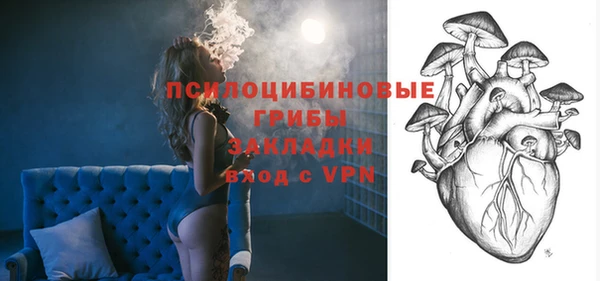 ГАЛЛЮЦИНОГЕННЫЕ ГРИБЫ Алексеевка